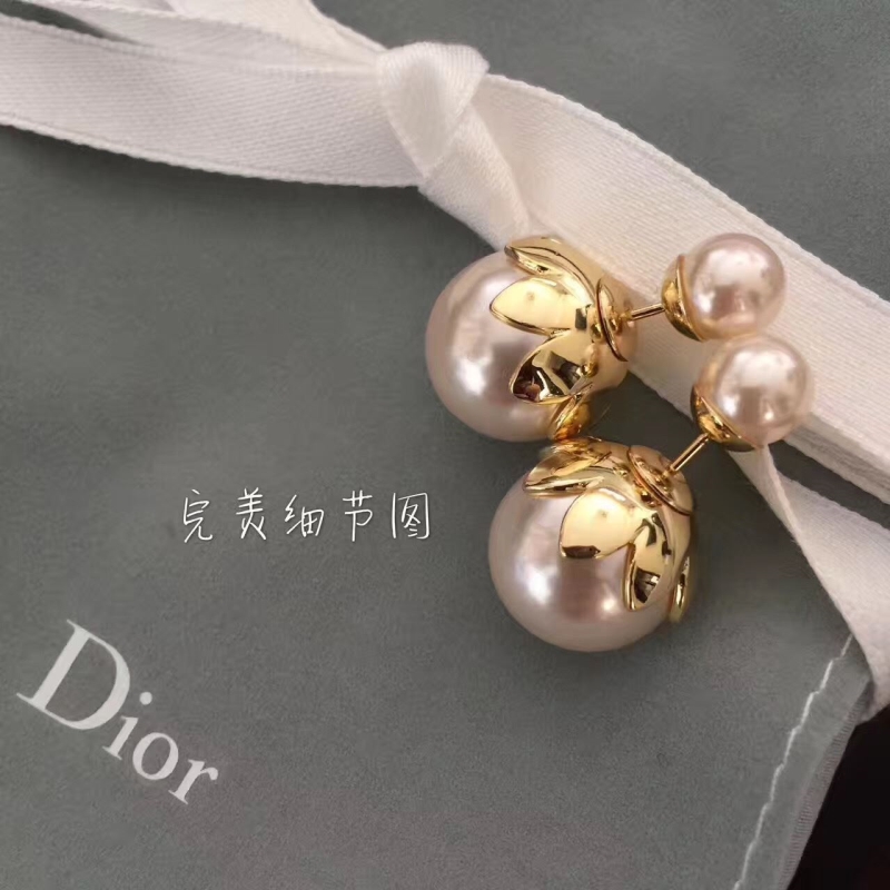 Christian Dior Earrings